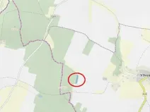 Prodej lesa, Černovice, 2403 m2