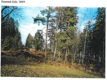 Prodej lesa, Ždírec nad Doubravou, 21716 m2