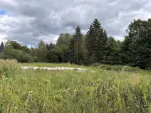 Prodej pozemku pro bydlení, Dětřichov, 1778 m2