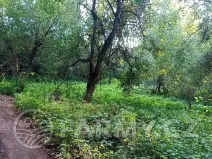 Prodej lesa, Mnichovice, 16432 m2