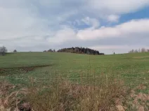 Prodej pozemku, Horní Planá - Žlábek, 47764 m2