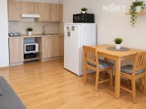 Pronájem bytu 1+kk, Ostrava, U Parku, 30 m2