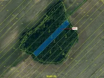 Dražba lesa, Želetice, 1391 m2