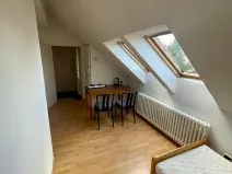 Pronájem bytu 1+kk, Praha - Dejvice, Na Hanspaulce, 22 m2