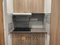 Prodej bytu 1+kk, Český Krumlov - Nové Spolí, 20 m2