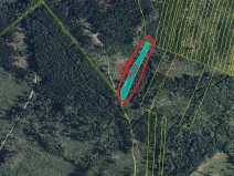 Prodej podílu lesa, Nová Hradečná, 6798 m2