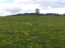 Prodej pozemku, Staré Město - Nová Véska, 10063 m2