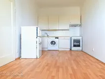 Pronájem bytu 1+1, Praha - Žižkov, Křišťanova, 50 m2