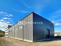 Pronájem skladu, Boskovice, Průmyslová, 4900 m2