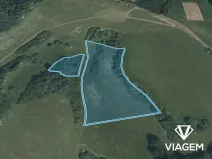 Prodej podílu pole, Plánice, 8040 m2