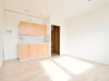 Pronájem bytu 1+kk, Žatec, Ostrov, 20 m2