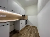 Pronájem bytu 1+kk, Třinec, Lidická, 44 m2