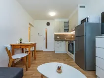 Pronájem bytu 1+kk, Měchenice, Vltavská, 29 m2
