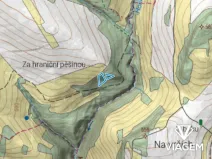 Prodej lesa, Příkrý, 3909 m2