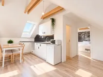 Pronájem bytu 2+kk, Bříství, 45 m2