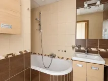 Pronájem bytu 2+1, Chomutov, Čechova, 51 m2