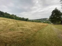 Dražba louky, Brumovice, 1160 m2