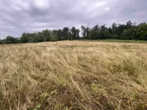 Dražba louky, Brumovice, 1160 m2