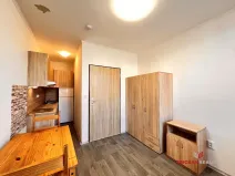 Pronájem bytu 1+kk, Hradec Králové - Plotiště nad Labem, 16 m2