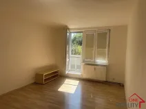 Pronájem bytu 1+1, Staré Město, Kopánky, 35 m2
