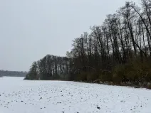 Prodej lesa, Moravský Krumlov, 2648 m2