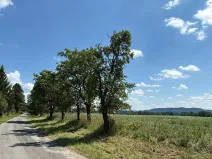 Prodej pozemku pro bydlení, Chocnějovice, 5680 m2