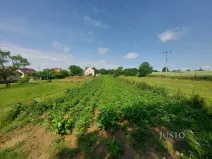 Prodej pozemku pro bydlení, Dražíč, 2918 m2