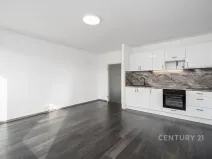 Pronájem bytu 2+kk, Ústí nad Labem, Rozcestí, 47 m2