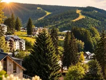 Prodej ubytování, Špindlerův Mlýn, 400 m2