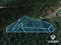 Prodej lesa, Podkopná Lhota, 2034 m2
