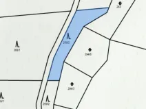 Prodej lesa, Řepníky, 562 m2