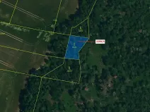 Dražba lesa, Horní Dunajovice, 594 m2