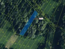 Dražba lesa, Přerov, 1145 m2
