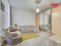 Prodej bytu 1+kk, Plzeň - Východní Předměstí, Plzenecká, 30 m2
