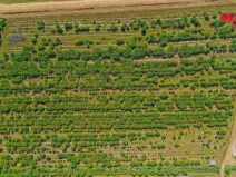 Prodej pole, Rakvice, 12442 m2