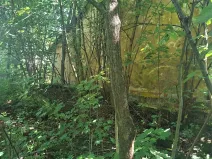 Prodej pozemku pro bydlení, Kozlovice, 1392 m2
