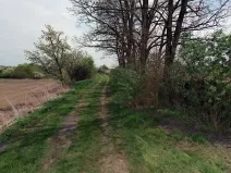 Prodej pole, Slatina, 14409 m2