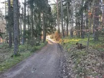 Prodej pozemku, Probulov, 3017 m2