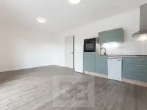 Pronájem bytu 1+kk, Plzeň, Na Průhonu, 37 m2