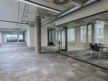 Pronájem kanceláře, Praha - Nové Město, Václavské náměstí, 978 m2