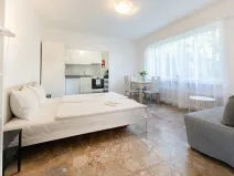 Pronájem bytu 1+1, Minusio, Švýcarsko, 30 m2
