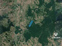 Prodej podílu lesa, Javorník, 8512 m2
