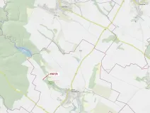 Dražba lesa, Horní Dunajovice, 110 m2