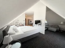 Pronájem bytu 1+kk, Hradec Králové, Malé náměstí, 80 m2