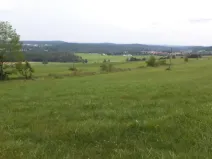 Prodej pozemku, Holubov, 5614 m2