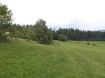 Prodej pozemku, Holubov, 5987 m2