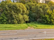 Prodej pozemku pro bydlení, Boskovice, 858 m2