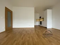 Pronájem bytu 2+kk, Praha - Karlín, U Mlýnského kanálu, 56 m2