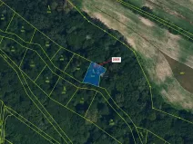 Dražba lesa, Hluboké Mašůvky, 342 m2