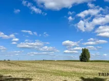 Prodej pozemku, Ostrava, 129007 m2